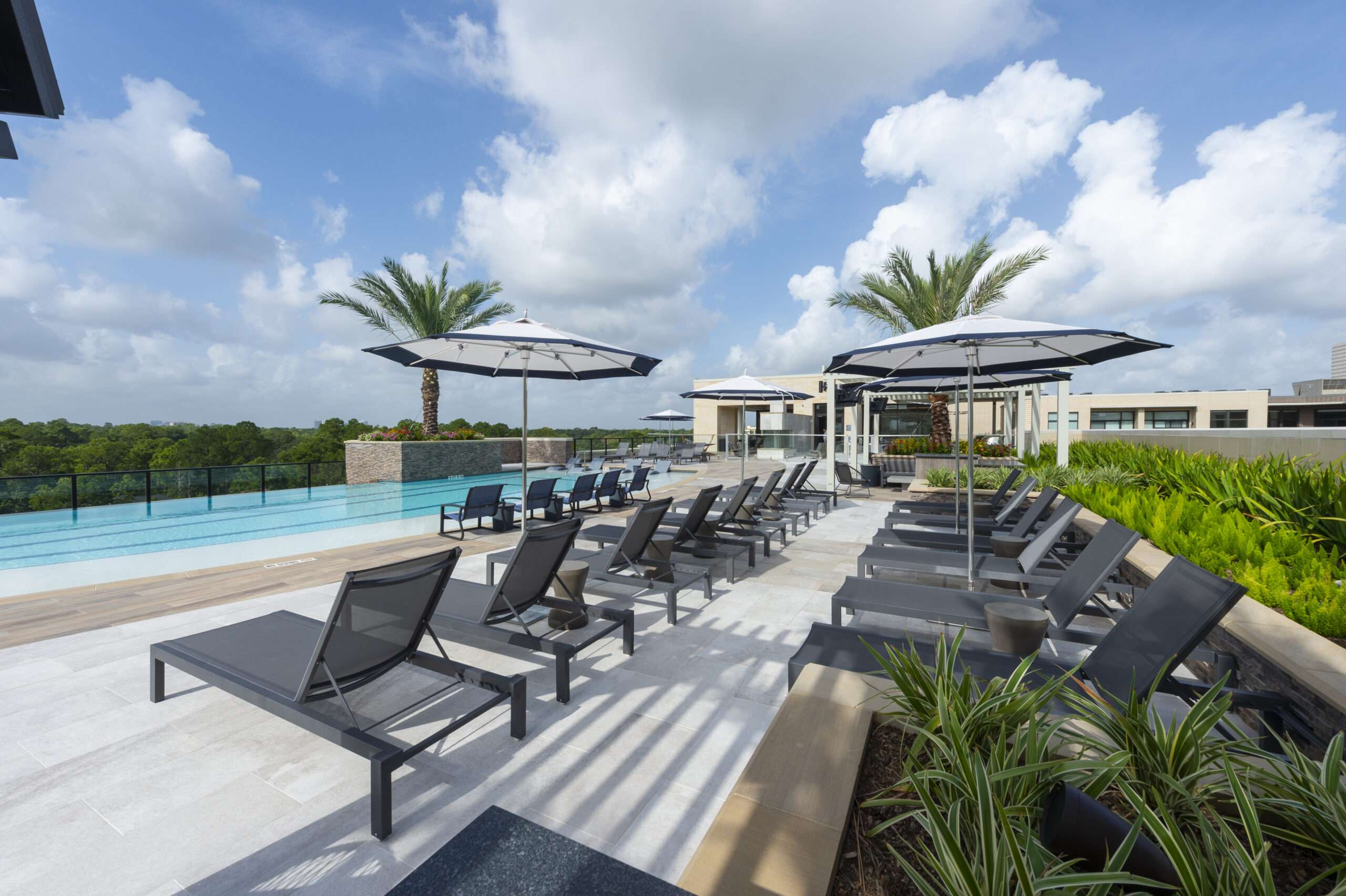 Pool deck at The McAdams with rows of lounge chairs, shade structures and palm trees